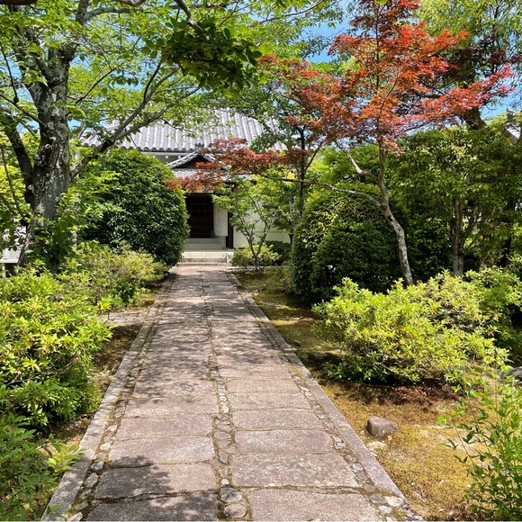 Meet your Posher, Malaika - Picture 5 of 9